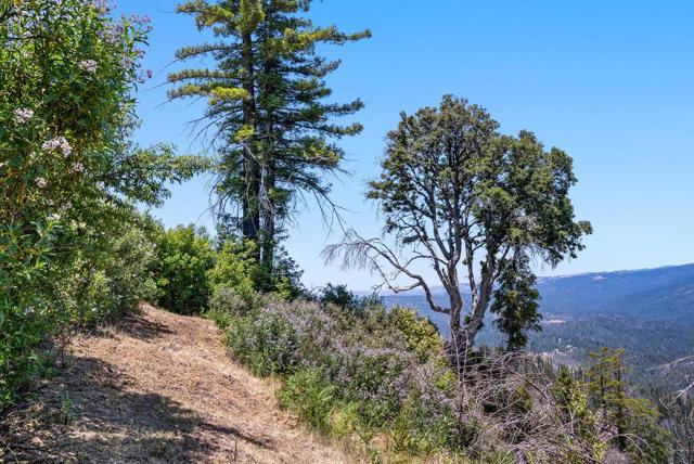 150 Braemoor Drive, Santa Cruz CA: https://media.crmls.org/mediaz/3fa06102-2358-4e8b-b032-79463cd89cf5.jpg