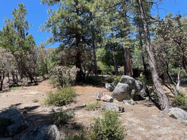 0 Northridge, Idyllwild CA: https://media.crmls.org/mediaz/3fa438f1-2933-4201-ac16-767b85acce80.jpg