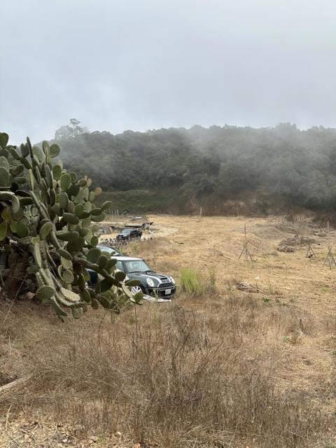 216 Tucker Road, Royal Oaks CA: https://media.crmls.org/mediaz/3faffa17-c439-4786-91a3-cf03cf6fb771.jpg