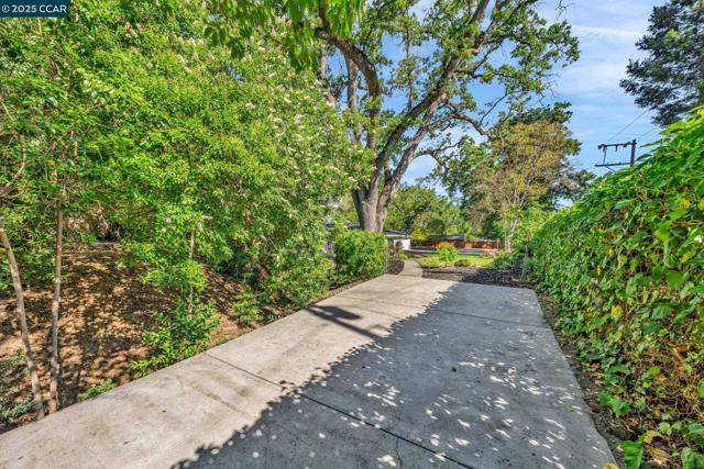 205 Castle Hill Ranch Rd, Walnut Creek CA: https://media.crmls.org/mediaz/3fb5704f-a62e-469a-9520-3cddef1b5109.jpg