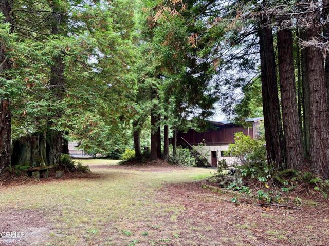 24560 Jimmie Lane, Fort Bragg, California 95437, 3 Bedrooms Bedrooms, ,2 BathroomsBathrooms,Residential,For Sale,24560 Jimmie Lane,CRC1-10795