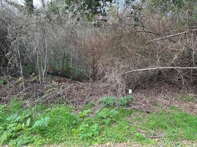 0 Encino Drive, Aptos CA: https://media.crmls.org/mediaz/3fc45452-78b3-4c3b-b3cd-0b833dcf7ced.jpg