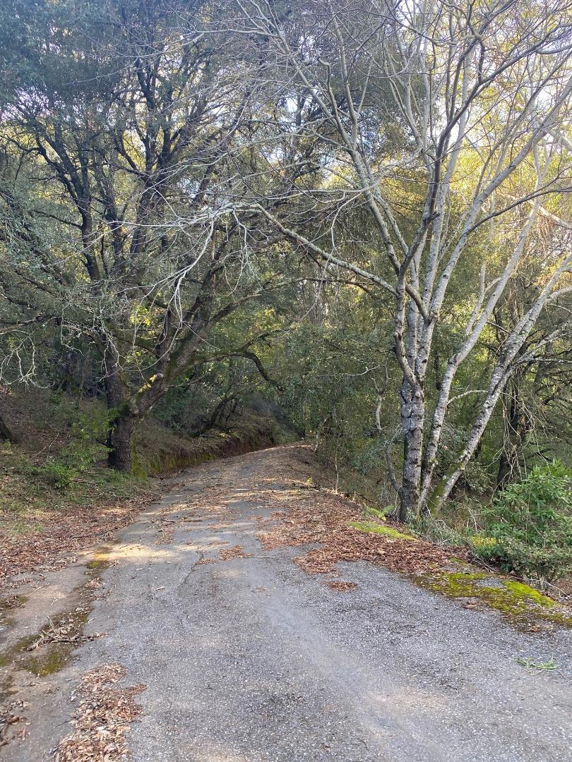 MLS #ML81915650 image #8