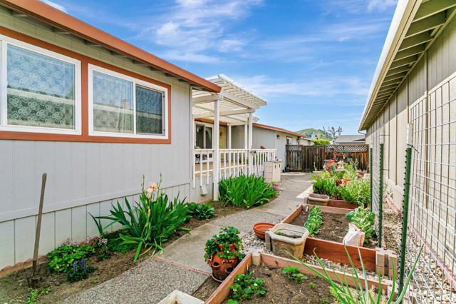 253 Forest Drive, Morgan Hill CA: https://media.crmls.org/mediaz/3fe53739-0720-491c-aa04-72dc12c2587d.jpg
