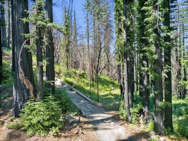 685 Robles Drive, Santa Cruz CA: https://media.crmls.org/mediaz/3fe6dd01-b425-4dc0-acf9-7ee08d9feb83.jpg