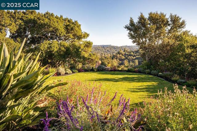1177 Estates Dr, Lafayette CA: https://media.crmls.org/mediaz/3fef85d7-4b2c-44bc-9416-f116931ed695.jpg
