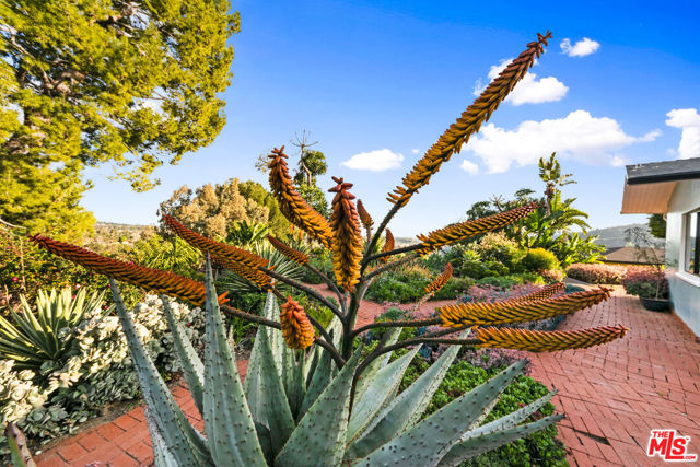 Botanical Garden