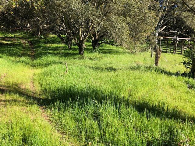 6967 Valle Pacifico Road, Salinas CA: https://media.crmls.org/mediaz/40158dff-b73b-4a6c-92cd-a6732f733d43.jpg