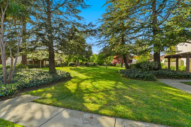 1092 Strayer Drive, San Jose CA: https://media.crmls.org/mediaz/401dd925-ff89-493a-aba1-544f8cfb343d.jpg