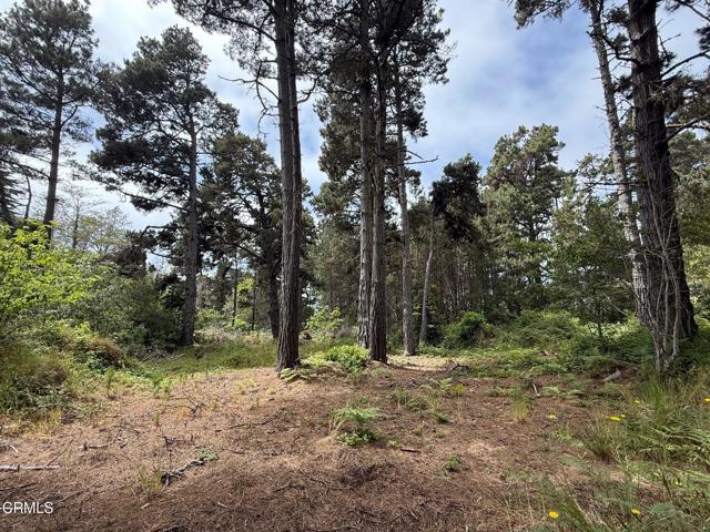 18391 Old Coast Highway, Fort Bragg CA: https://media.crmls.org/mediaz/402938ba-4981-44d6-a1fd-7d550e2579c8.jpg