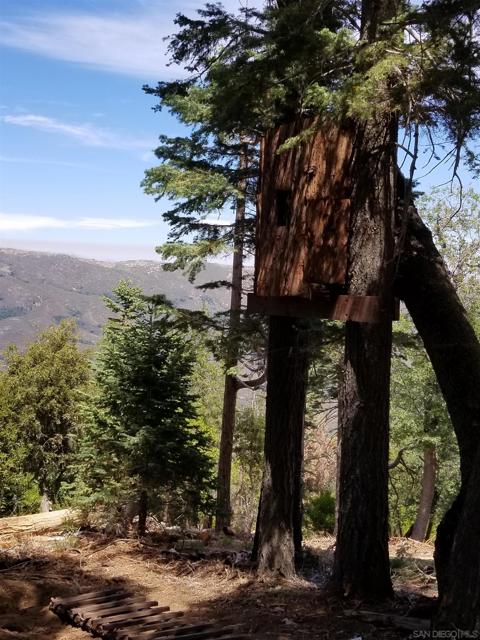 0 Conifer Lane, Palomar Mountain CA: https://media.crmls.org/mediaz/402d8c94-c5c5-4c5f-81b6-dcaecf571c79.jpg