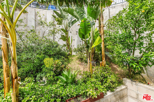 2350 San Marco Drive, Los Angeles CA: https://media.crmls.org/mediaz/4034b8e4-b1db-4ca1-807a-4bd59d35b23c.jpg