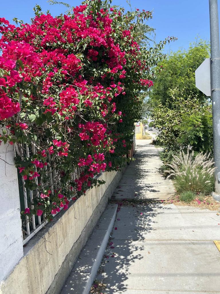 MLS #219138573DA image #2