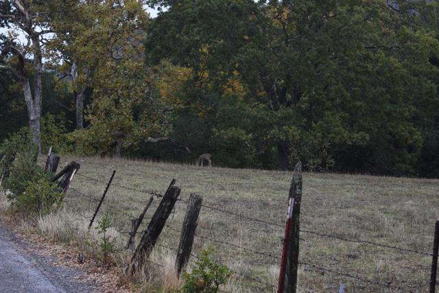 Image 9 of 23 For 1700 Finley Road