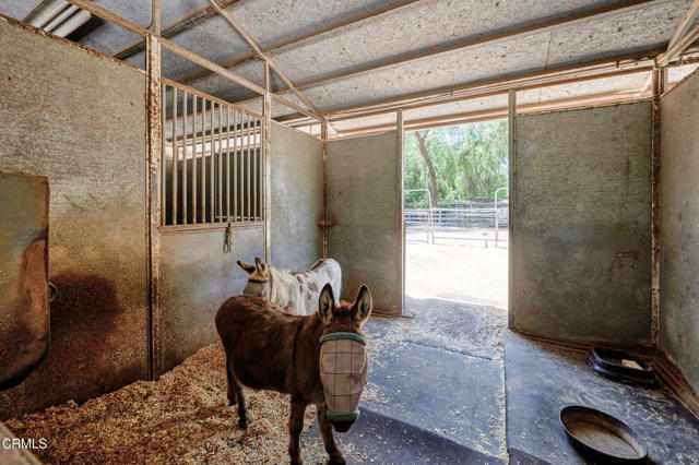 11616 E Las Posas Road, Camarillo CA: https://media.crmls.org/mediaz/40462fc3-6258-4795-8373-796ce6f36c35.jpg