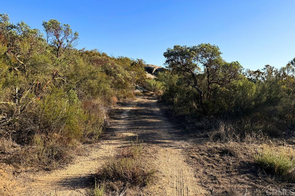 MLS #PTP2507282 image #23