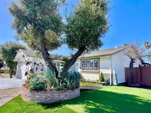 1151 Leeward Drive, San Jose CA: https://media.crmls.org/mediaz/4048a19b-0736-4852-b5a7-946ae729b06c.jpg