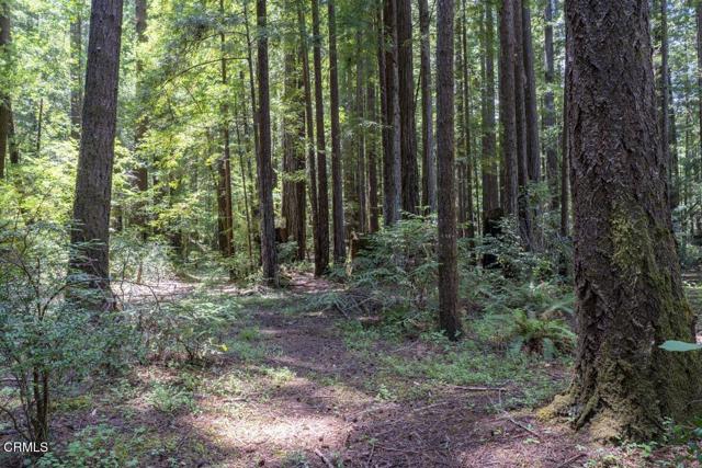 31351 Comptche Ukiah Road, Comptche CA: https://media.crmls.org/mediaz/404e4483-4e74-408f-82c6-4d98b2c73cae.jpg