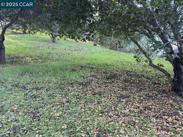 43 Cuesta way, Walnut Creek CA: https://media.crmls.org/mediaz/4051c862-6b47-46be-b651-8168f8974ebc.jpg