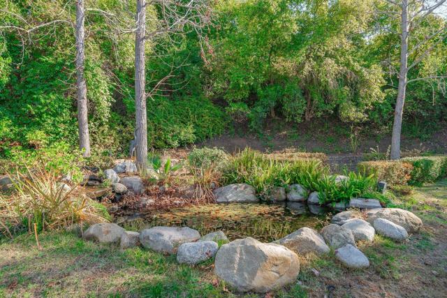 5 Rolling View Lane, Fallbrook CA: https://media.crmls.org/mediaz/40554ccc-808a-40b8-abc3-f00daf948e52.jpg
