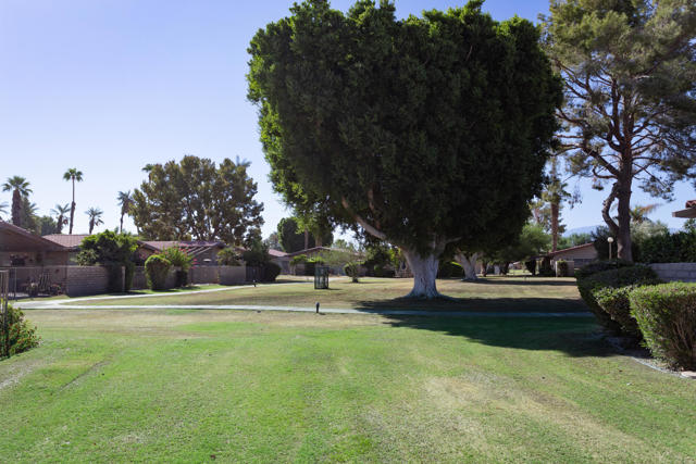 Image 52 of 69 For 82263 Odlum Drive
