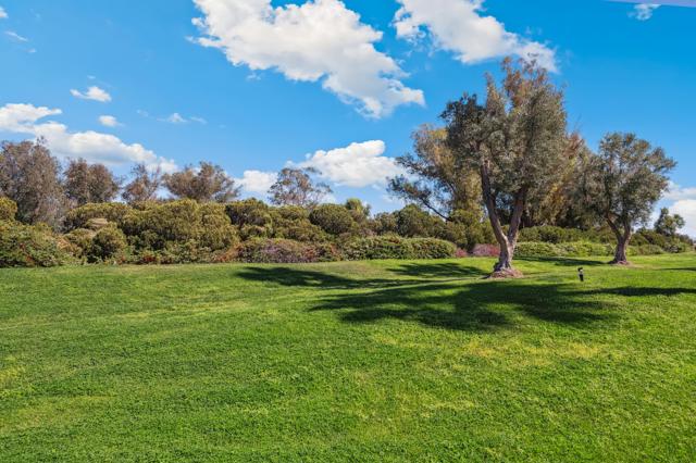 153 Desert Falls E Drive, Palm Desert CA: https://media.crmls.org/mediaz/40566ec4-2323-4d0e-b8aa-3458bda2aef1.jpg