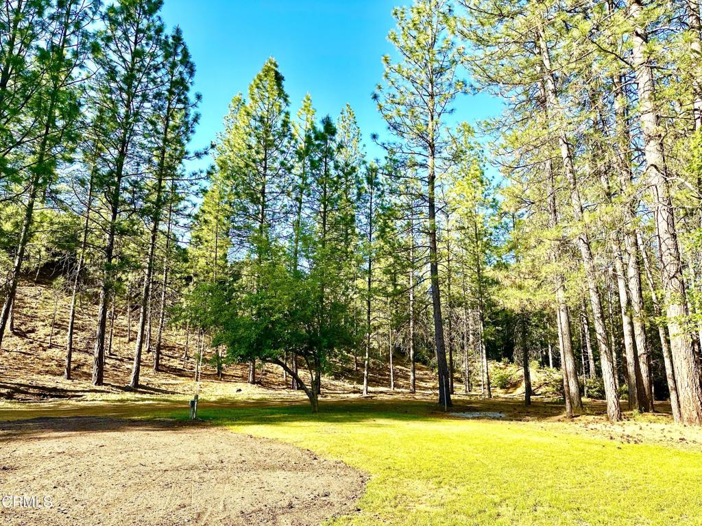 https://media.crmls.org/mediaz/40692d03-bf62-484f-8426-de5a8c47b721.jpg?preset=X-Large