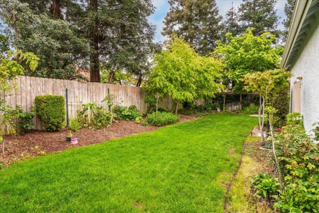 1130 Minarets Avenue, Clovis CA: https://media.crmls.org/mediaz/40817218-432e-4be8-98f5-6f6faeae541e.jpg