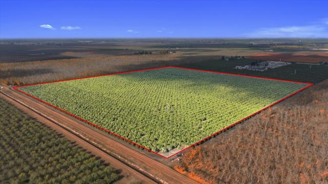 Details for 0 Rd 204 Road, Strathmore, CA 93286