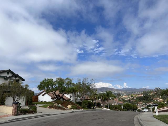 Detail Gallery Image 5 of 65 For 1420 Tres Hermanas Way, Encinitas,  CA 92024 - 4 Beds | 3 Baths