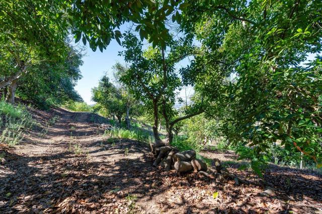 0 Wilt Road, Fallbrook CA: https://media.crmls.org/mediaz/4091c9ba-4867-4fb9-9467-f89b7600afd0.jpg