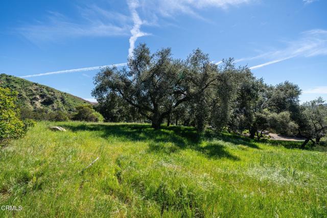 Detail Gallery Image 8 of 44 For 4700 Rising Hill Rd, Altadena,  CA 91001 - – Beds | – Baths