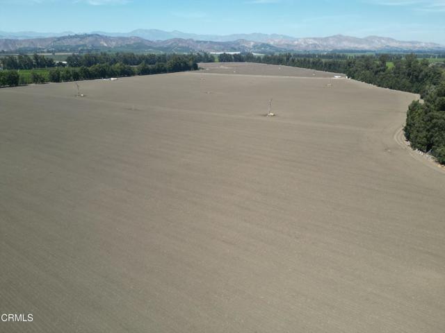 155 +/- Acres of Prime Ventura County Farmland w/ 144+/- Gross Farmable.Currently used for Row Crop Production - Previously Planted to Lemons & Avocados. Comprised of 3 Parcels - APNs 109-0-050-085 (129.25 Acs), -185 (23.791 Acs) & -125 (2.09 Acs).  Water Source: 2 Private Wells at Combined Pumping Rate of Approx. 2000+/- GPM.  Zoned AE 40 Acre Minimum & Subject to Ventura County SOAR.   Well Maintained Ranch Ready for Next Crop - Lease Pending May Apply for the First Year.  Located at the Intersection of Beardsley and Wright Roads - NWC.  Close Proximity to Main Arteries - the 101 Fwy, Hwy 1, Hwy 118 & 126 Fwy.  Favorable Topography with gradual drainage (See Topography Map Provided with the Marketing Brochure).  Improved with Mobile Hm, Equipment Sheds, Wind Machines and Access Roads.  Located across the street from the Camarillo City Limits & CURB (city urban restriction boundary).