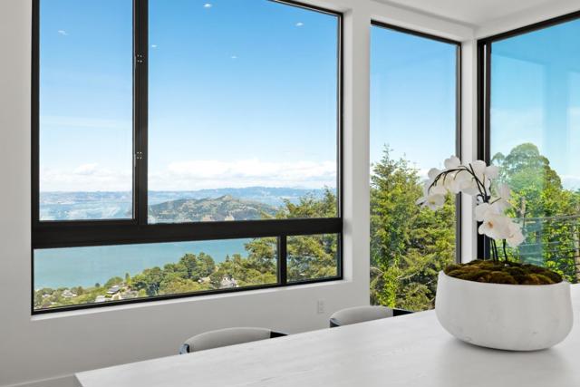 3 Wolfback Ridge Road, Sausalito CA: https://media.crmls.org/mediaz/40a1dd65-1123-4927-8c4f-a7a4549c80b4.jpg