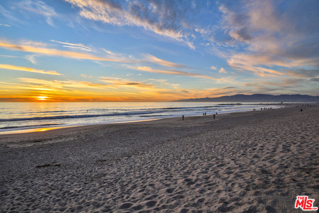 2207 Ocean Front Walk, Venice CA: https://media.crmls.org/mediaz/40a81ca6-b994-4ae1-b91a-03f324772fd1.jpg