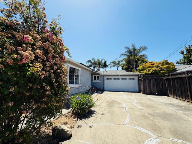 6793 Flanders Dr, Newark CA: https://media.crmls.org/mediaz/40a8c497-9d80-465c-bdab-5d051b3600b6.jpg