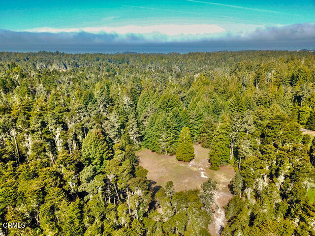 Detail Gallery Image 14 of 16 For 43535 Comptche Ukiah Rd, Mendocino,  CA 95460 - – Beds | – Baths