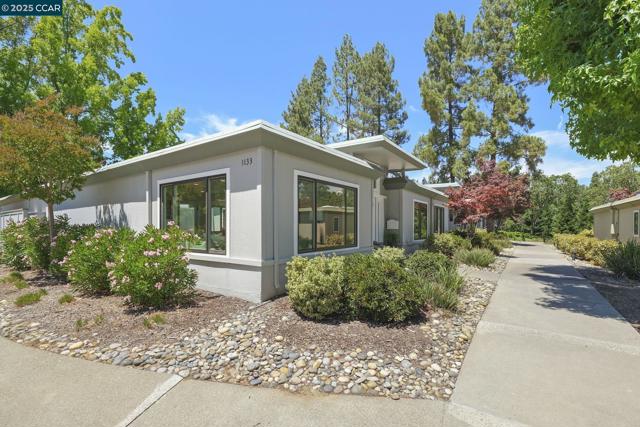1133 Golden Rain Road, Walnut Creek CA: https://media.crmls.org/mediaz/40b05ce0-f3df-4927-bfc3-84b94b442d92.jpg
