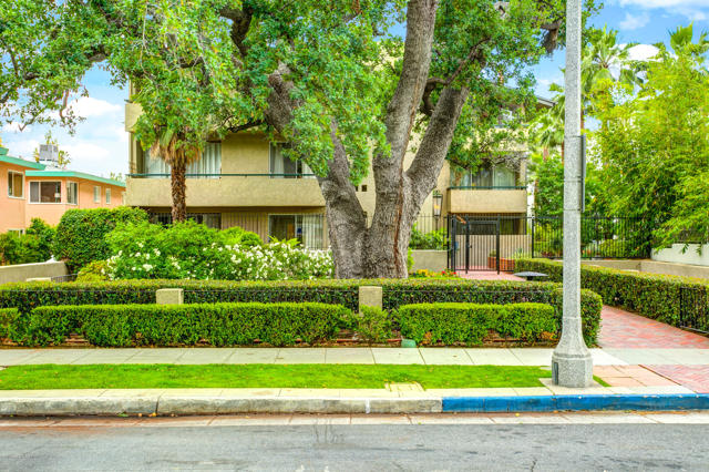 Thumbnail for 960  San Pasqual ST #205