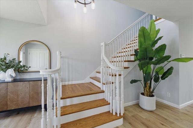 2434 Hastings Drive, Belmont CA: https://media.crmls.org/mediaz/40b5ea6e-97ab-4b13-8d7b-bf60e16ab74c.jpg