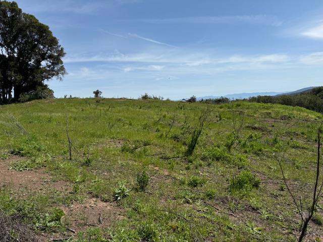 7175 Redwood Retreat Road, Gilroy CA: https://media.crmls.org/mediaz/40b69943-8cf9-40f2-9288-a2a8dab70b75.jpg