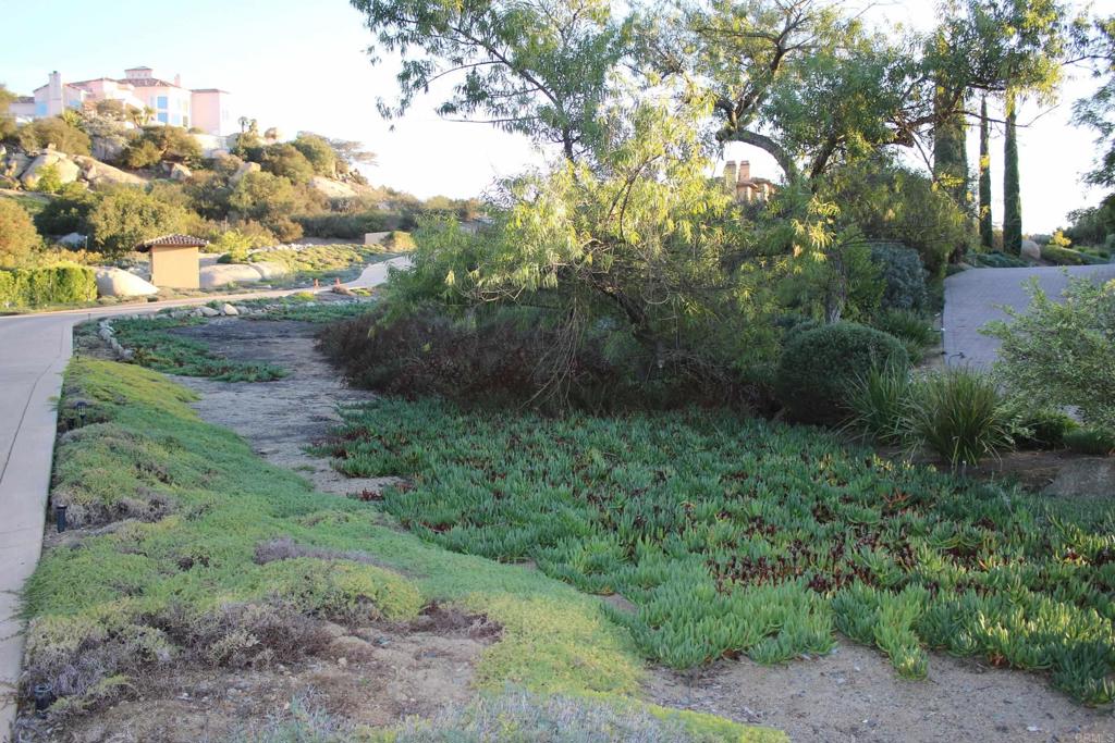 MLS #NDP2510463 image #10