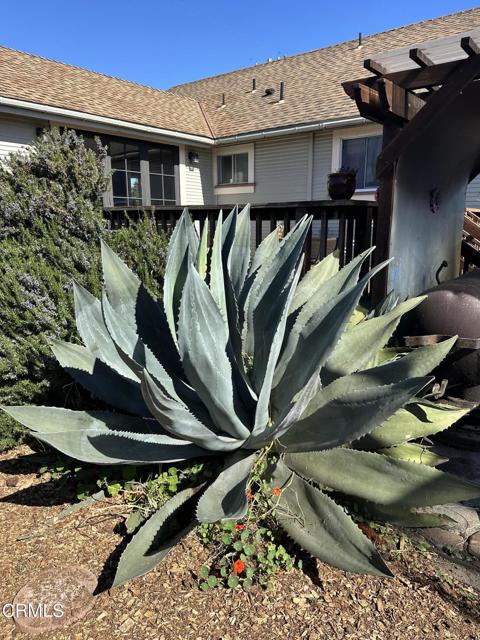 Detail Gallery Image 34 of 38 For 930 E E Oak Street St, Fort Bragg,  CA 95437 - 3 Beds | 2/1 Baths