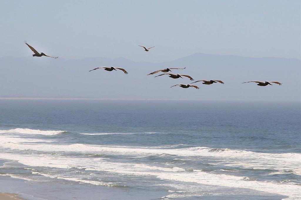 https://media.crmls.org/mediaz/40d27d55-60d1-479c-833b-46b83f924360.jpg?preset=X-Large