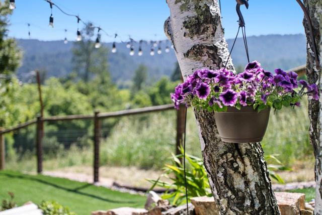 6443 E Zayante Road, Felton CA: https://media.crmls.org/mediaz/40df90fe-72e9-4dc1-8861-c9b46e1d6b74.jpg