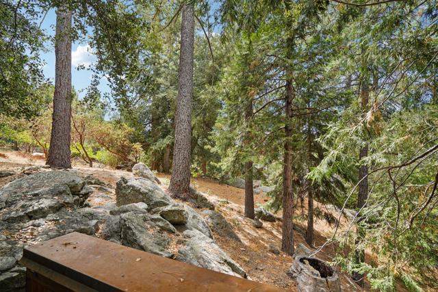 55491 Howland, Idyllwild CA: https://media.crmls.org/mediaz/40eb67f7-768d-4201-8713-1c0e682e9d13.jpg