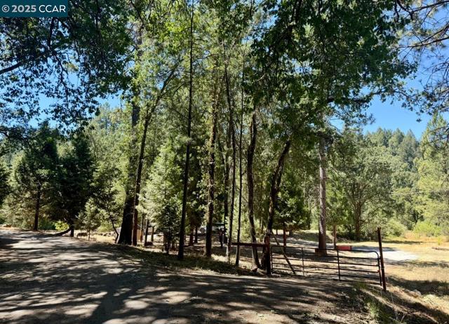 4578 Pretty Good Rd, Placerville CA: https://media.crmls.org/mediaz/40f7b274-237b-4ef6-ba0d-7b77e31ef2fa.jpg