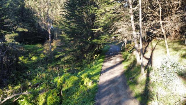 700 Cedar St., Montara CA: https://media.crmls.org/mediaz/40fde0e7-9abf-46d4-bb9f-01b530b420f0.jpg