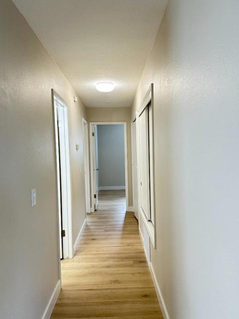 4965 Edgar Court, San Jose CA: https://media.crmls.org/mediaz/4120f4dc-ab4d-4671-bf89-e64e5dceeee6.jpg