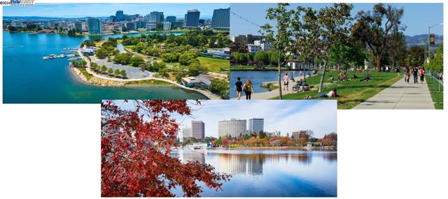 The Beautiful Lake Merrit